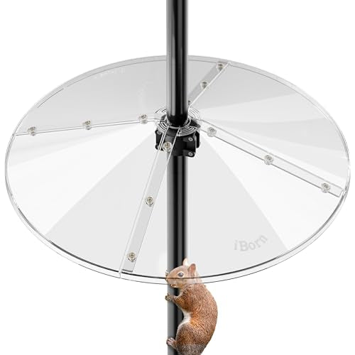 iBorn Squirrel Baffle for Bird Feeder Pole, 19.6” Oversized Squirrel Guard Defender, Bird Feeder for Outdoors Protector, Polycarbonate(PC), Pack of 1, Clear - color: 19.6Inch, Clear, Chew-Proof PC, Pack Of 1