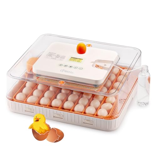 iPettie ProHatch56 Egg Incubator for Hatching Eggs with Automatic Egg Turning & Humidity Temperature Control, 56 Eggs Capacity for Chicken Eggs, Duck Eggs, Quail Eggs, Temperature Alarms