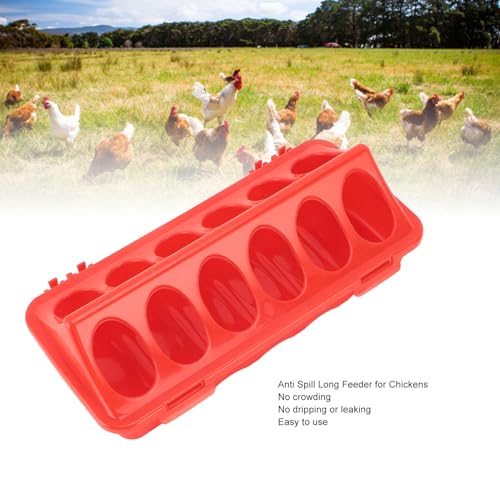 5PCS Flip Top Small Poultry Feeder, 12 Hole Pigeon Feeding Tray No Mess Feeding and Drinking Dispenser for Duck Quails Birds