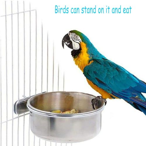 PINVNBY Parrot Feeding Cups Birds Food Dish Stainless Steel Parrot Feeders Water Cage Bowls with Clamp Holder for Cockatiel Conure Parakeet Macaw Small Animal (2PCS, Size: M)