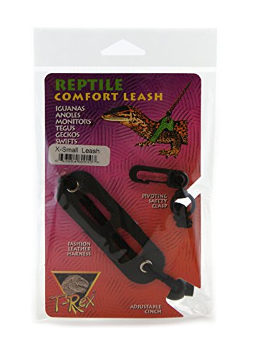 T-Rex Lizard Accessory - Comfort Leash (X Small) - size: X Small