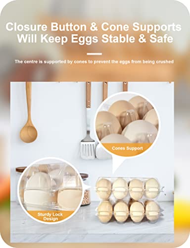 Pintuson 50 Pack Egg Cartons Cheap Bulk 12 Count - Holds 1 Dozen Clear Blank Egg Cartons for Chicken Eggs - Clear Empty Chicken Egg Carton for Fresh Medium Eggs - color: Medium-50PK-12CT