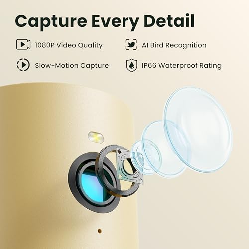 Smart Bird Feeder with Camera Solar Powered, Slow-Motion Video & Night Insight, AI Identify 6000+ Species Lifetime Free, Ideal for Outdoors Bird Watching & Gifts for BirdLovers, Wood | Fir Wood, No Subscription, Live Stream, Night Insight, 1080P, AI Bird