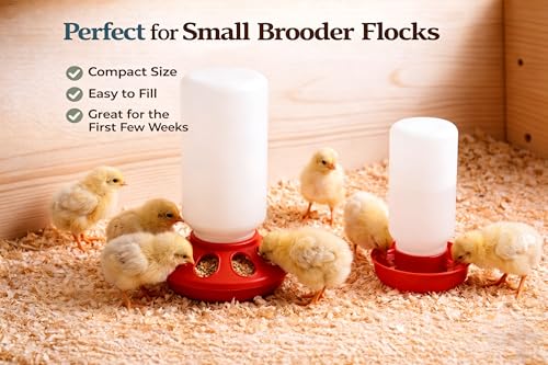 Baby Chick Feeder and Waterer Set, 1 Quart Poultry Starter Kit | Gravity-fed shallow water tray, compact brooder design, easy to refill and clean, for chicks, ducklings and small poultry
