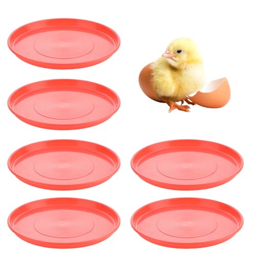 DQITJ 6 Pack Chicken Starter Plate Poultry Food Dispenser Chicken Plastic Brood Feeding Tray for Small Poultry Chicken Duck Pigeon Quail Bird (Dia: 12.2""), Red