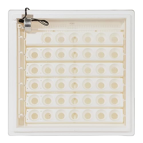 Farm Innovators Egg Incubator with Automatic Egg Turning & Humidity Control, Egg Candler w/Digital LCD Display for Improved Hatching, 3 Pack, White