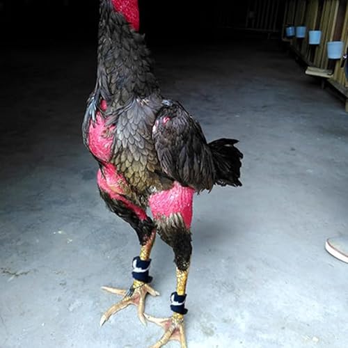 Gamefowl Rooster Supplies Chicken Shoes Gallos De Pelea Accessories Chicken Supplies Poultry Care Supplies Leg Protect 2 Pairs Color Pink and Green - color: Pink and Green
