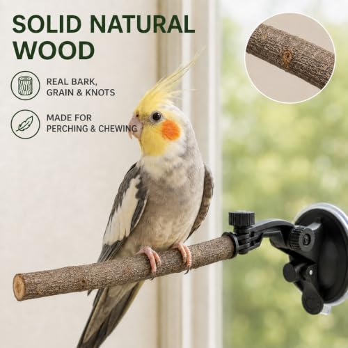 2 PCS Parrot Perch Stand, Movable Perch Stand Bird Training Set, Wood Parrot Perch Stand with Strong Suction Cup for Cockatoo, Macaw, Parakeet, Window Mirror Car Shower Ceramic Tiles Bath