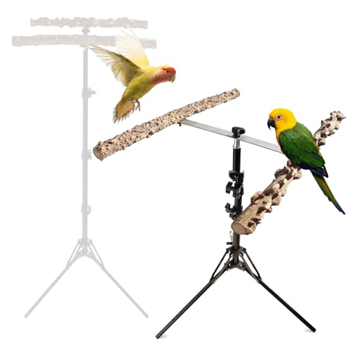 Oooct 16-63 Inch Height Adjustable Bird Perch Stand, Natural Pepper Wood Parrot Perch Toy, Bird Training Perch Stand, Indoor and Outdoor Bird Stands for Small to Medium Bird - size: Size B