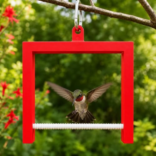 Hummingbird Swing and Perch, Outdoor - Red, Weatherproof Resting Perch Sized for a Hummingbird's Claws, with Stainless Clip for Any Feeder or Hook - GetRedStuff