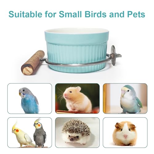 Ceramic Bird Cage Bowl with Stainless Steel Rack Holder, Hanging Anti-Tip Feeding Cup, Secure Mount Food & Water Dish for Parrots, Cockatiels, Parakeets, Small to Medium Pet Birds