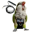 Bird Diaper Harness Flight Suit Clothes, Parrot Flight Suit with Leash for Parrot, Bird Flying Clothes with Rope and Handle for Outdoor Activities Training (with Leash - Large) - size: With Leash - Large
