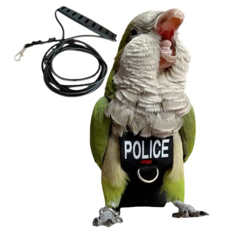 Bird Diaper Harness Flight Suit Clothes, Parrot Flight Suit with Leash for Parrot, Bird Flying Clothes with Rope and Handle for Outdoor Activities Training (with Leash - Small) - size: With Leash - Small