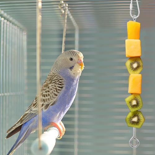ElevateTech 3Pcs Bird Food Holder, Stainless Steel Small Animal Bird Food Treats Skewer Hanging Vegetable Fruit Feeder Feed Treating Tool Suitable Parrots Cockatoo Cockatiel (Silver)