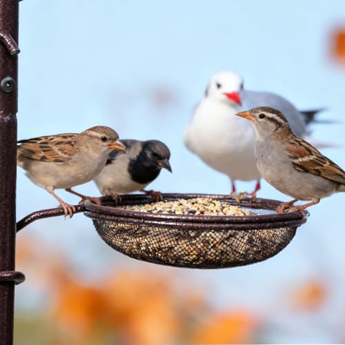 REDCAMP 75'' Wild Bird Feeder Station Kit, Heavy Duty Feeder Stand Pole | with 4 Hanging Poles, Multi Feeding Station Kit for Outdoor Yard Garden