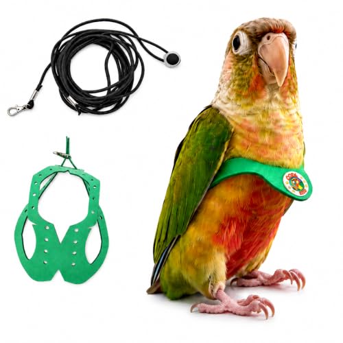 Adjustable Bird Harness & Leash Set for Small Birds,FitsBudgie,Parakeets, Conures, Cockatiels,Green Cheek,Quaker Parrots(Green, S) 6350-7 - color: Green, size: S,for Green Cheek and similar size birds