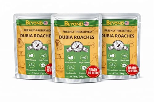 BeyondFeed™ USA Grown Freshly Preserved Vac-Pack Feeder Insects – Ready-to-Feed Protein Treats for Reptiles, Birds, Fish & Aquatic Turtles (Fresh Dubia Roaches-3Pack Bundle 60g/2.12 oz)