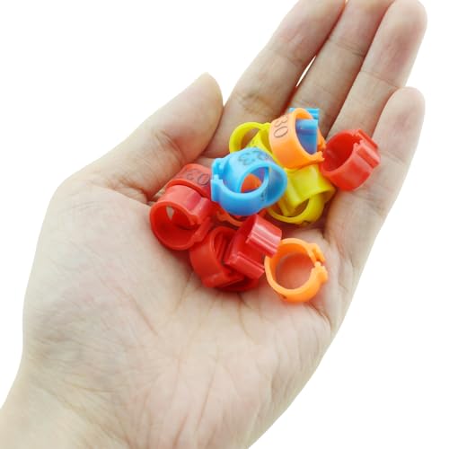 100PCS 10mm Mixed Colour Identifying Leg Band Clip Poultry Plastic Leg Band Pigeon Leg Band Ring Suitable for Bird and Poultry