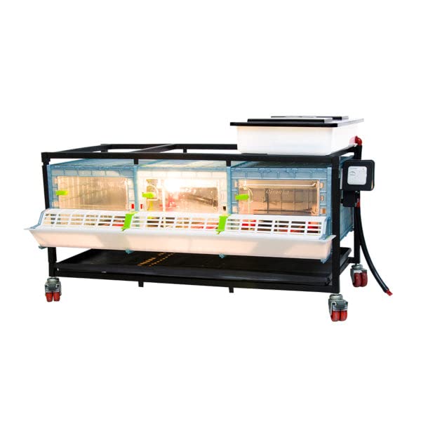 Hatching Time 9.5" Chick Brooders – Stackable with Automatic Heating, Modular Design, Easy to Clean, Ideal for Quail, Pheasant, and Baby Chicks (1 Layer) - style: 3 Section, 1 Layer