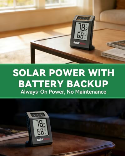 BALDR 2-Pack Digital Hygrometer Thermometer, Solar Power with Battery Backup Temperature and Humidity Monitor, Mini Room Thermometer with Comfort Indicator (Black) - color: Black 2 Pack