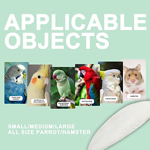 Natural Cuttlebone for Birds Parakeets Canaries Cockatiels Small Conures Mynahs Toucans African Greys All Parrots Snails Totoise, with Holder for Bird Cage (6-6.5 inch,2PCS) - size: 6-6.5 Inch (Pack of 2)