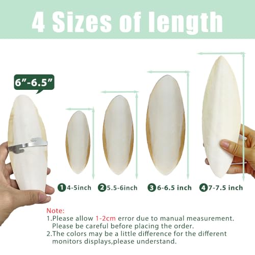 Natural Cuttlebone for Birds Parakeets Canaries Cockatiels Small Conures Mynahs Toucans African Greys All Parrots Snails Totoise, with Holder for Bird Cage (4-5 inch,2PCS) - size: 4-5 Inch (Pack of 2)