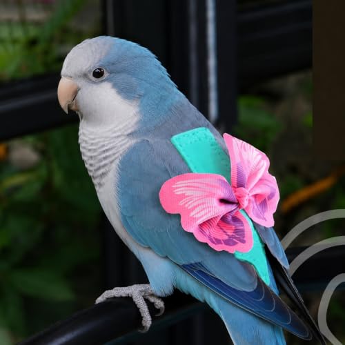 Parrot Diaper Harness with Leash Set for Small/Medium Bird (Size L) | Washable, Bird Flight Suit Outdoor Flying Training for Quaker, Caique Parrots, African Grey, Mini Macaw - size: L