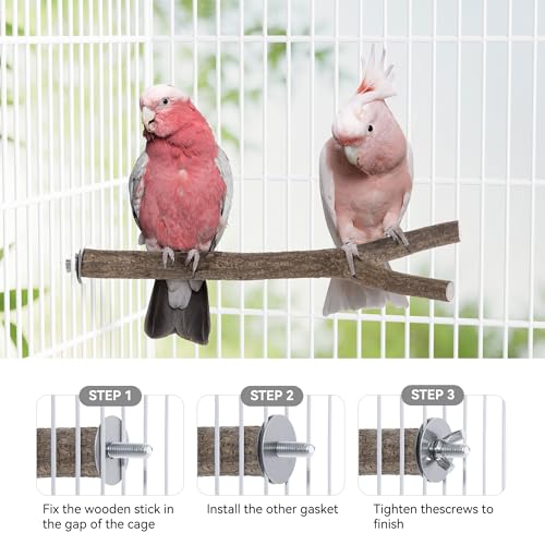 Niteangel Natural Wooden Perches for Bird Cages - Ideal for Cockatiels, Parakeets, Finches & Other Caged Birds (Natural Bark, 2 Pack) - color: Natural Bark