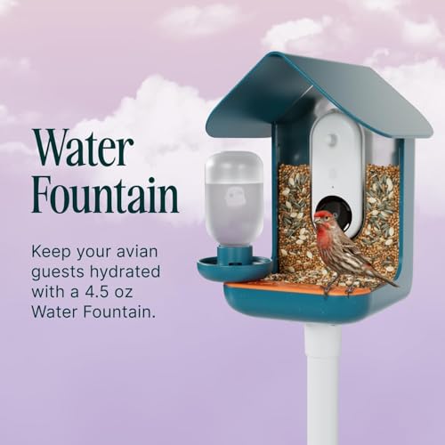 Birdbuddy 3-in-1 Nutrition Set with Water Fountain, Fruit Spike & Tray - size: 3-in-1 Nutrition Set