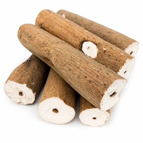 1211 Pk6 Natural Bark Sola Sticks, 6-Pack, 3" Long, 1.25" Diameter, Soft Chew and Foraging Toy for Birds, Parrots, Parakeets, Cockatiels, Lightweight, Natural, Safe, Eco-Friendly | Natural sola root sticks with center holes for chewing, shredding, toy mak