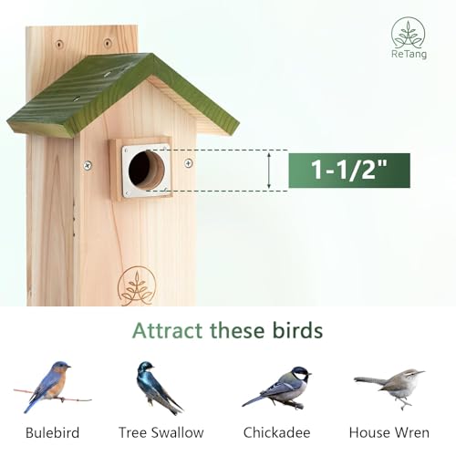 Outdoor Cedar Birdhouse, 1.5" Hole Bluebird Nesting Box with Predator Guard | Metal predator guard protects nest, side cleaning door opens fast, interior step gives baby birds extra grip to climb out - style: Modern