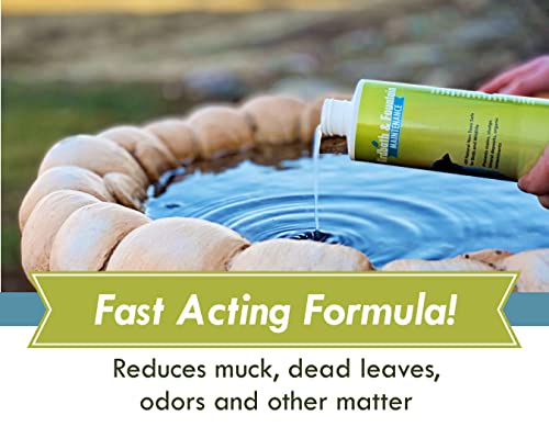 Sanco Bird Bath & Fountain Maintenance, Fast-Acting Enzyme-Based Formula Will Extend The Life of Your Water Feature, Aid in Maintaining a Balanced Ecosystem, 16 oz - size: 16 ounces