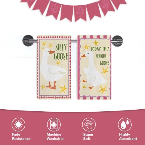 Silly Goose Kitchen Dish Towels Set of 2, Funny Today I'm a Serious | Goose Drying Hand Towel Baking Cooking Cloth, Farmhouse Bathroom Home Decoration Geese Lover Friend Gifts 18'' x 26'' - color: Daily-2