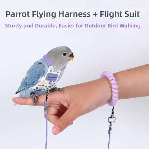 Bird Harness Leash Set Adjustable Vest Anti-Lost Wrist Strap for Parakeet Cockatiel Conure Lovebird (Green, Quaker Parrot/Golden Sun Conure/Indian Ringneck Parakeet 12 * 7cm/6g) - color: Green