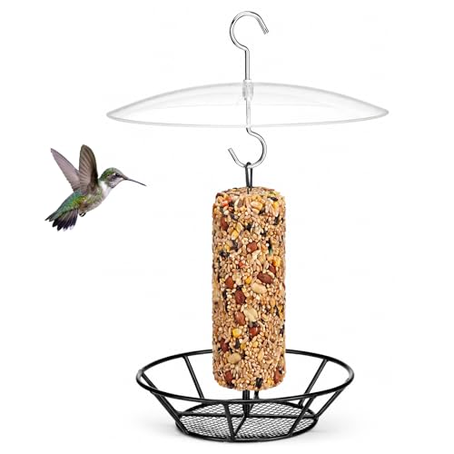 1 Pack Cylinder Bird Feeder Outdoor Metal Seed Cake Feeder with Clear Rain Proof Cover Hanging Chew-Proof Backyard Wild Bird Feeding Feeders for Outdoors Garden(Mesh Bottom) - style: Mesh Bottom