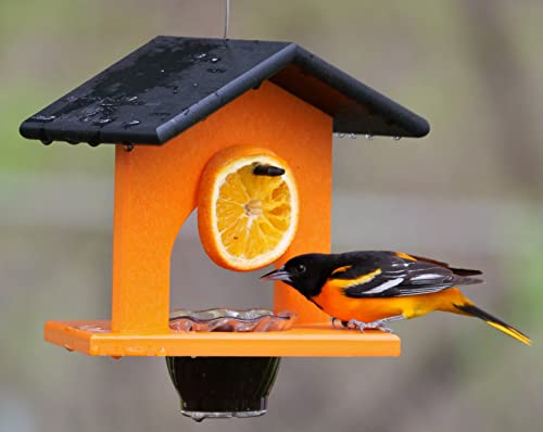 Oriole Bird Feeder, Poly Lumber Hanging Oriole Jelly Feeder (Black/Orange) - color: Black/Orange