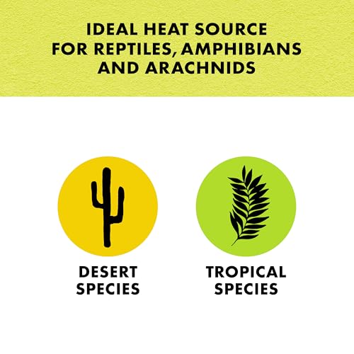 Zilla Heat Mat, Terrarium Heater for Reptiles, Snakes (Ball Pythons, Corn Snakes), Leopard Geckos, Tortoises, Amphibians and Arachnids, Mini, Fits 1-5 Gallon, 4 Watt