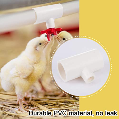 20 Pcs Chicken Waterer PVC Pipe Tee Fittings for Large Chicken Coop | Fully Automatic for Threaded Chicken Waterer Nipples/Cups/Feeders/Poultry Water Drinker, Chicken Coop Accessories, White