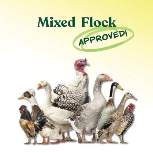 Manna Pro All Flock Crumbles with Probiotics, Chicken & Duck Food, 25 lb | Complete Feed for Mixed Flocks, 16% Protein, Chicken & Duck Feed, Added Probiotics for Digestion, Easy-to-Eat Crumbles - size: 25 Pound (Pack of 1)