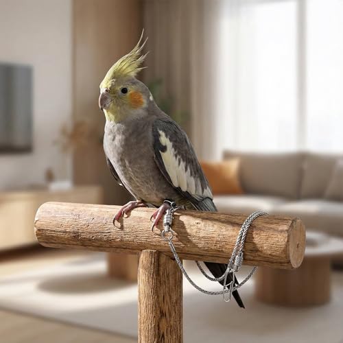 Alipis Parrot Foot Chain Ankle Ring 21.65 Inch Thin Stainless Steel Bird Anklet for Cockatiels Peonies Lovebirds Anti-Off Durable Pet Harness