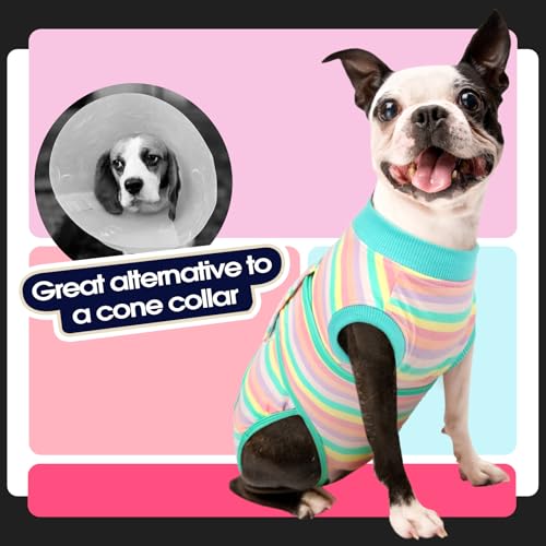 Recovery Suit for Dogs After Surgery,Soft Breathable Dog Bodysuit | E-Collar & Cone Alternative Surgical Suit,Male Female Dog Neuter Spay Suits Anti Licking Wounds Onesie Mint Green Stripes XS - color: Mint Green Stripes, size: Xs(back:8.3-11.4in,wt:4-7lb