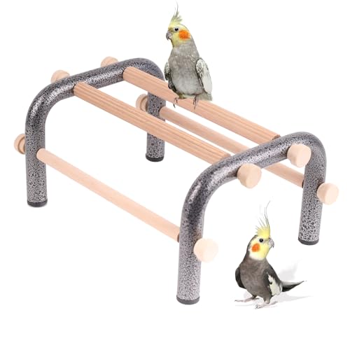 Small Bird Training Perch Table Stand for Parakeet Budgies Cockatiel Conure, Rustproof Durable Heavy Duty Metal Frame with 4 Wooden Bars for Bird to Play Climb and Exercise Toy - color: Round Tube - Table, size: Small Size
