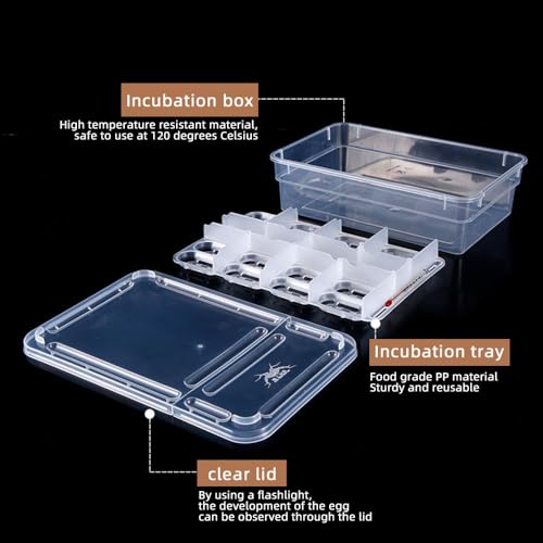 20 Grids Reptile Breeding Box, Reptile Egg Incubator Plastic Reptile Egg Incubator Tray Amphibians Hatchery Box Case for Hatching Gecko Lizards Lions Mane Without Thermometer