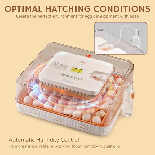 iPettie ProHatch56 Egg Incubator for Hatching Eggs with Automatic Egg Turning & Humidity Temperature Control, 56 Eggs Capacity for Chicken Eggs, Duck Eggs, Quail Eggs, Temperature Alarms