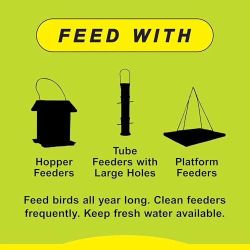 Wild Delight Deck, Porch N' Patio No Waste Bird Food, 20 lb-(374200),Tan - size: 20 Pound (Pack of 1), style: Porch N' Patio, 20lb