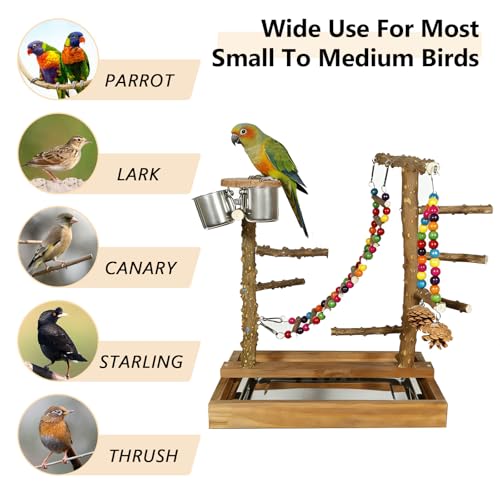 Wooden Bird Play Stand Parrots Playground Perch Stand with Bird Ladder Chewing Toys and 2 Stainless Steel Cups (Brown) - color: Brown