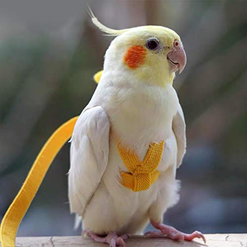 Adjustable Bird Harness Leash Parrot Flying Rope Straps Outdoor Training Traction Rope for Small Parrots, Random Color