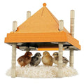 Chick Brooder Heating Plate with Anti-Roosting Cone Cover, 12" x 12" Large Brooder Heater for Chicks, Adjustable Height & Angle, Safe & Energy Efficient Radiant Heat, Keeps Top Clean & Chicks Huddled - size: 10.0"L x 12.0"W x 12.0"H