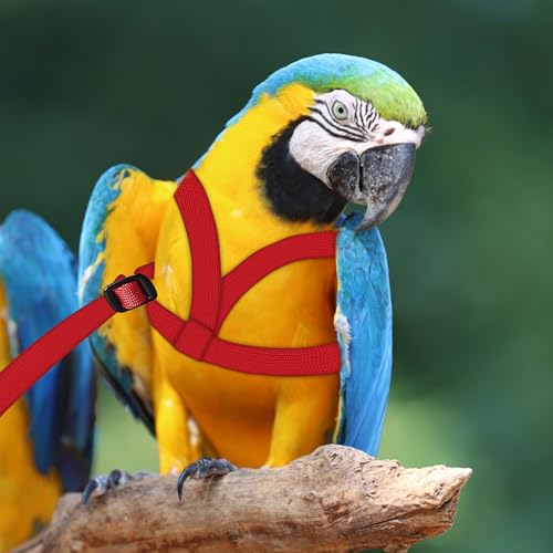 2 pcs Pet Parrot Bird Harness and Leash, Adjustable Training Design Anti-Bite, Outdoor Flying Training Rope Kit for Bird Parrots Fits Birds Chest Between35-62cm /13.78-24.41inch - L (red) - color: red, size: L