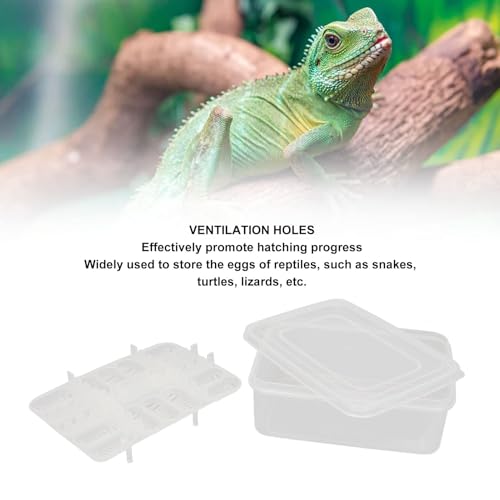 16 Grids Reptile Breeding Box, Reptile Incubator Professional Plastic Reptile Breeding Box Hatching Incubator for Amphibians Snakes Lizards Turtles Tortoises Geckos